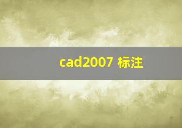 cad2007 标注